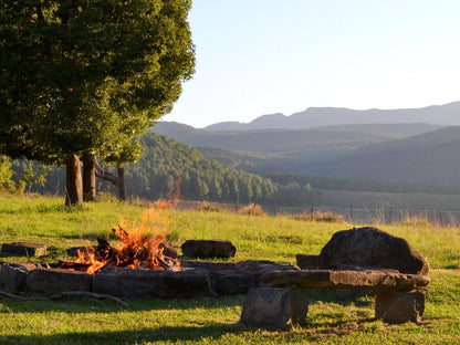 Inversanda Cottages Dargle Howick Kwazulu Natal South Africa Tree, Plant, Nature, Wood