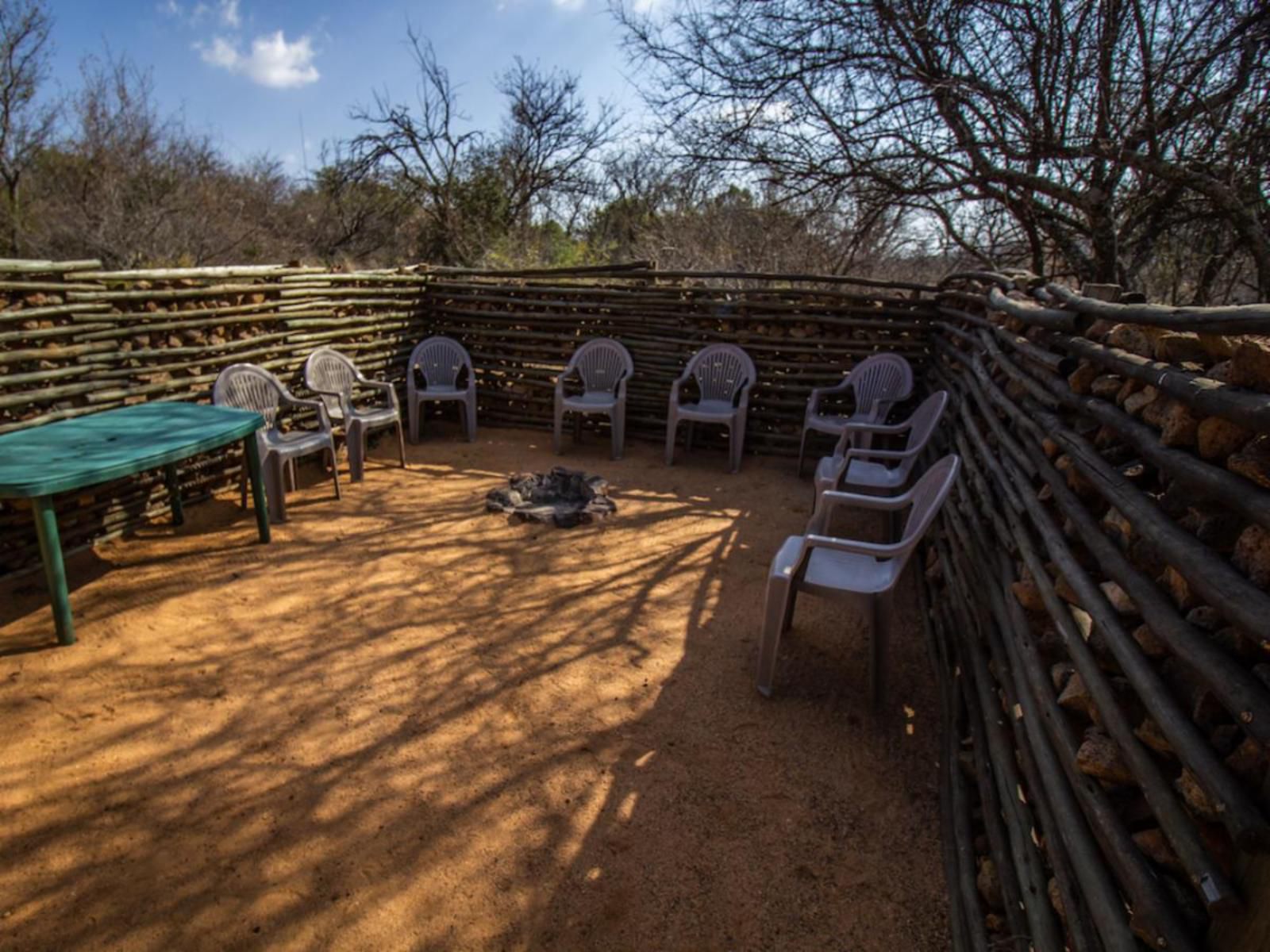 Inyala Game Lodge Ventersdorp North West Province South Africa Cactus, Plant, Nature