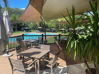 Inyamatane Kruger Park Lodge, Palm Tree, Plant, Nature, Wood, Garden, Swimming Pool