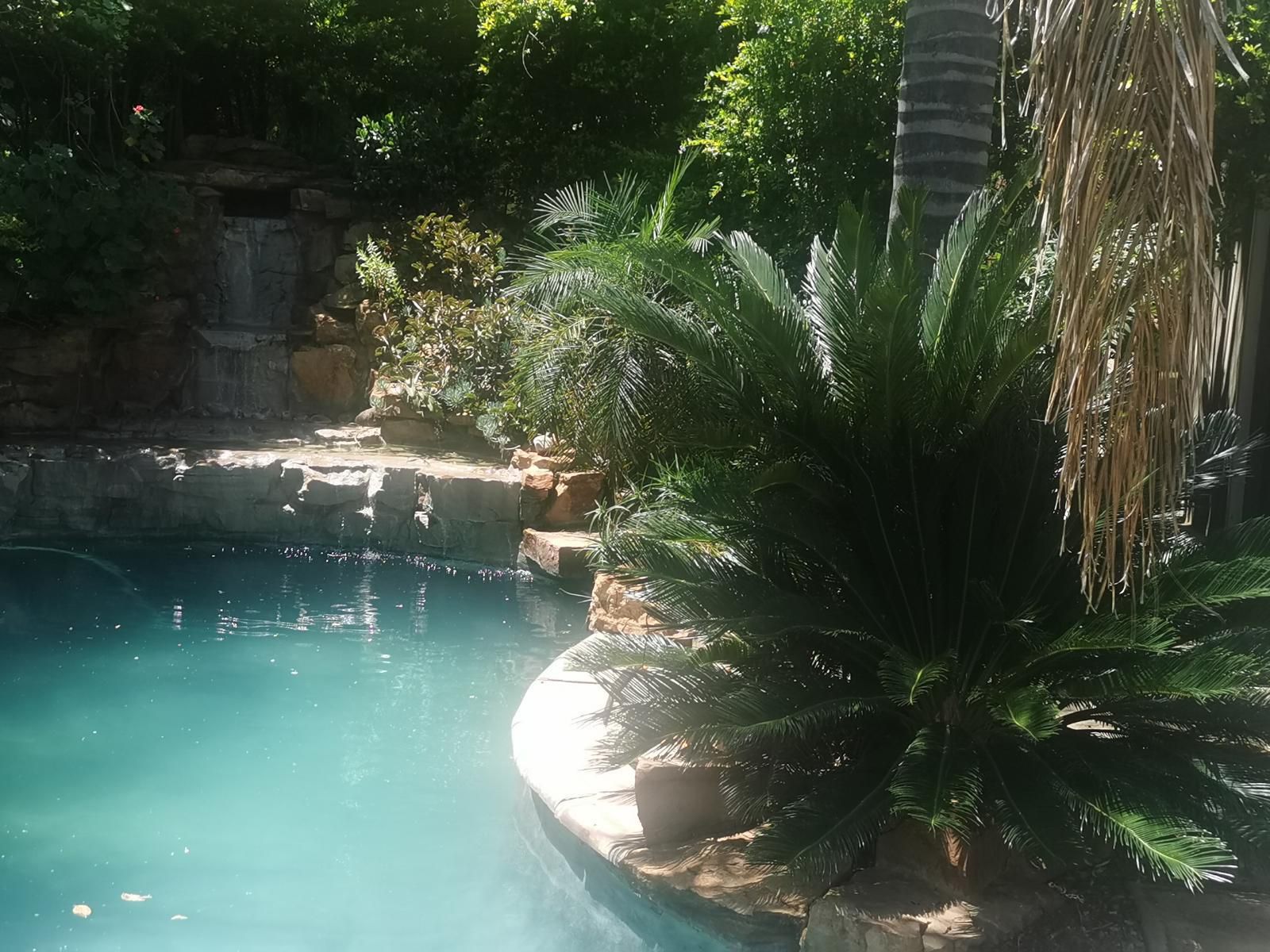 Inyameko Bnb Monavoni Centurion Gauteng South Africa Garden, Nature, Plant, Swimming Pool