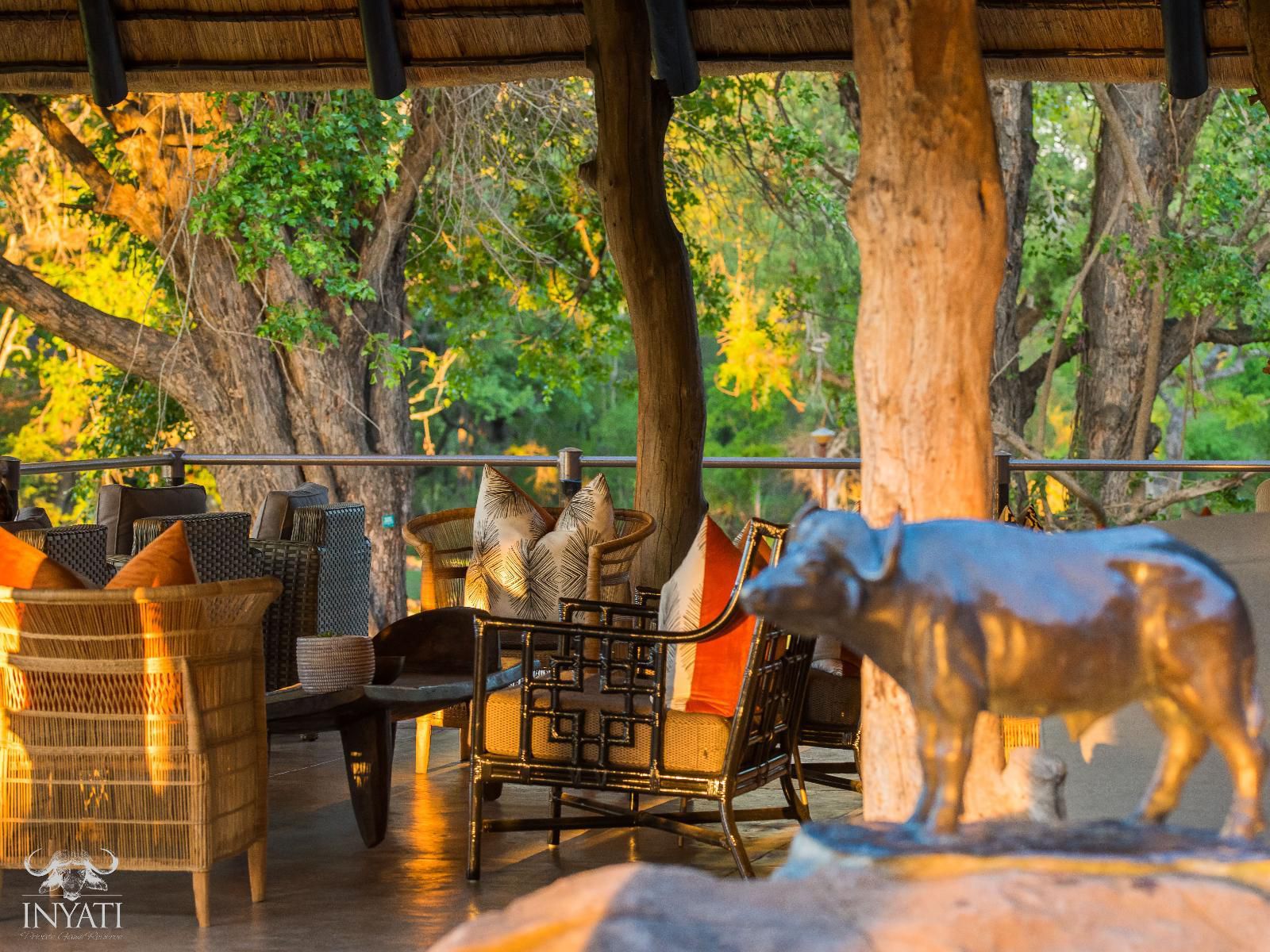 Inyati Game Lodge Sabi Sands Inyati Private Game Reserve Mpumalanga South Africa Animal