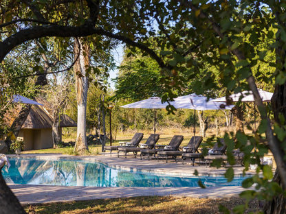 Inyati Game Lodge Sabi Sands Inyati Private Game Reserve Mpumalanga South Africa Swimming Pool