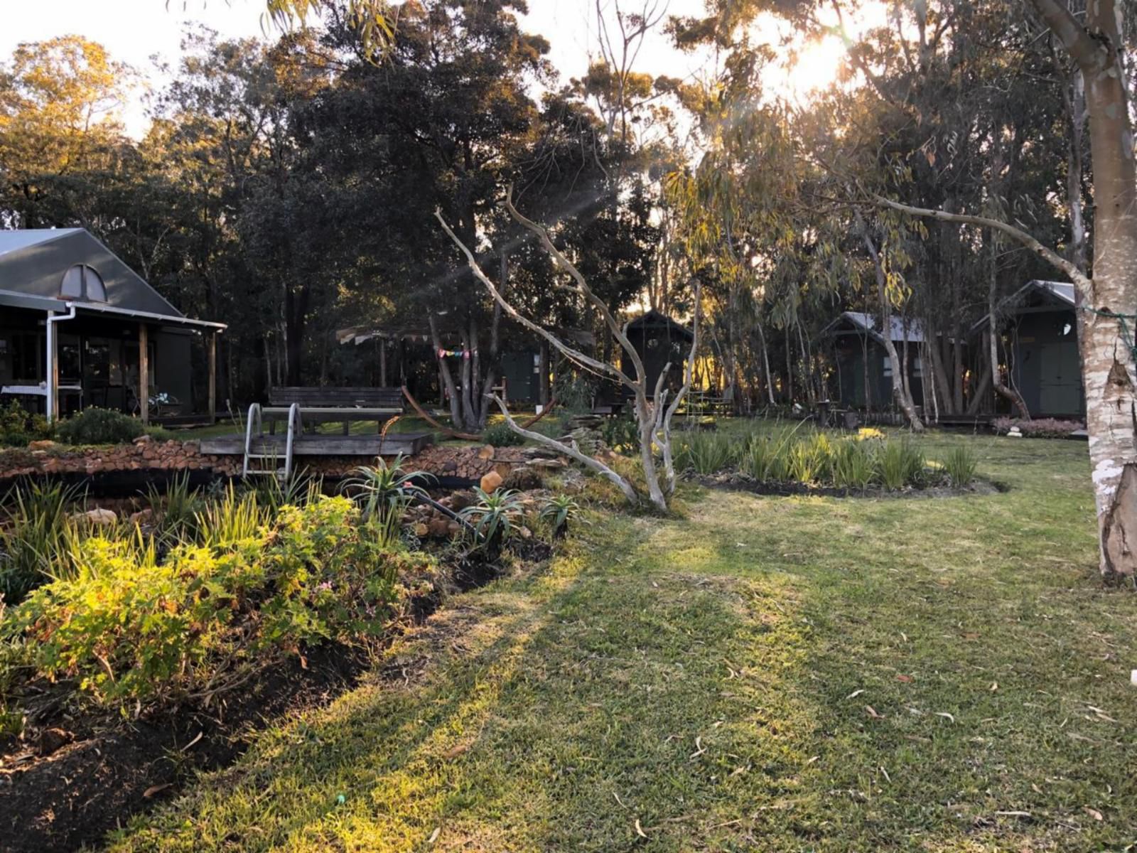 Inyoni Lodge Wolvengat Western Cape South Africa Plant, Nature, Tree, Wood