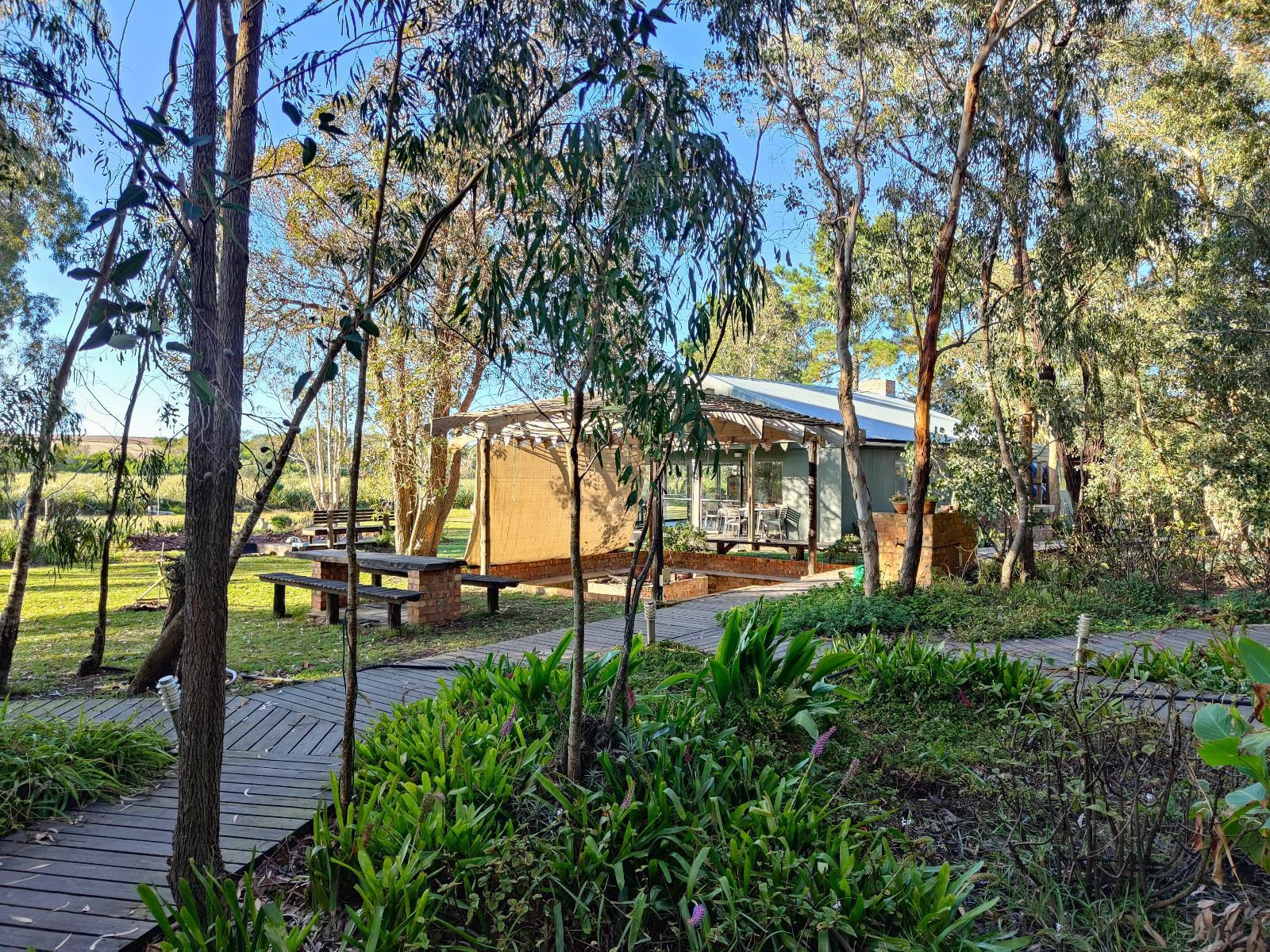 Inyoni Lodge Wolvengat Western Cape South Africa Palm Tree, Plant, Nature, Wood