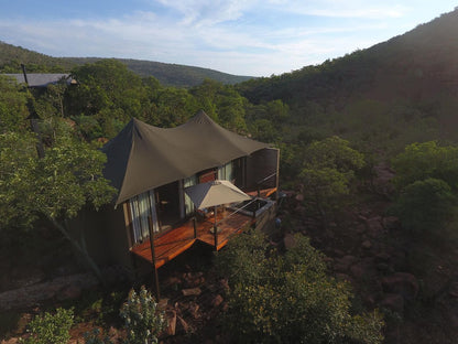 Inzalo Safari Lodge Welgevonden Game Reserve Limpopo Province South Africa 