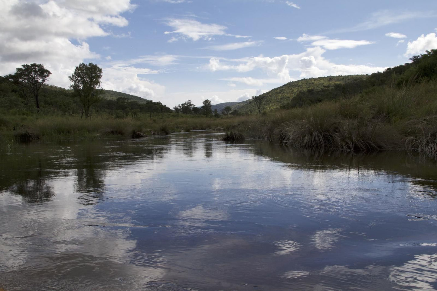 Inzalo Safari Lodge Welgevonden Game Reserve Limpopo Province South Africa River, Nature, Waters