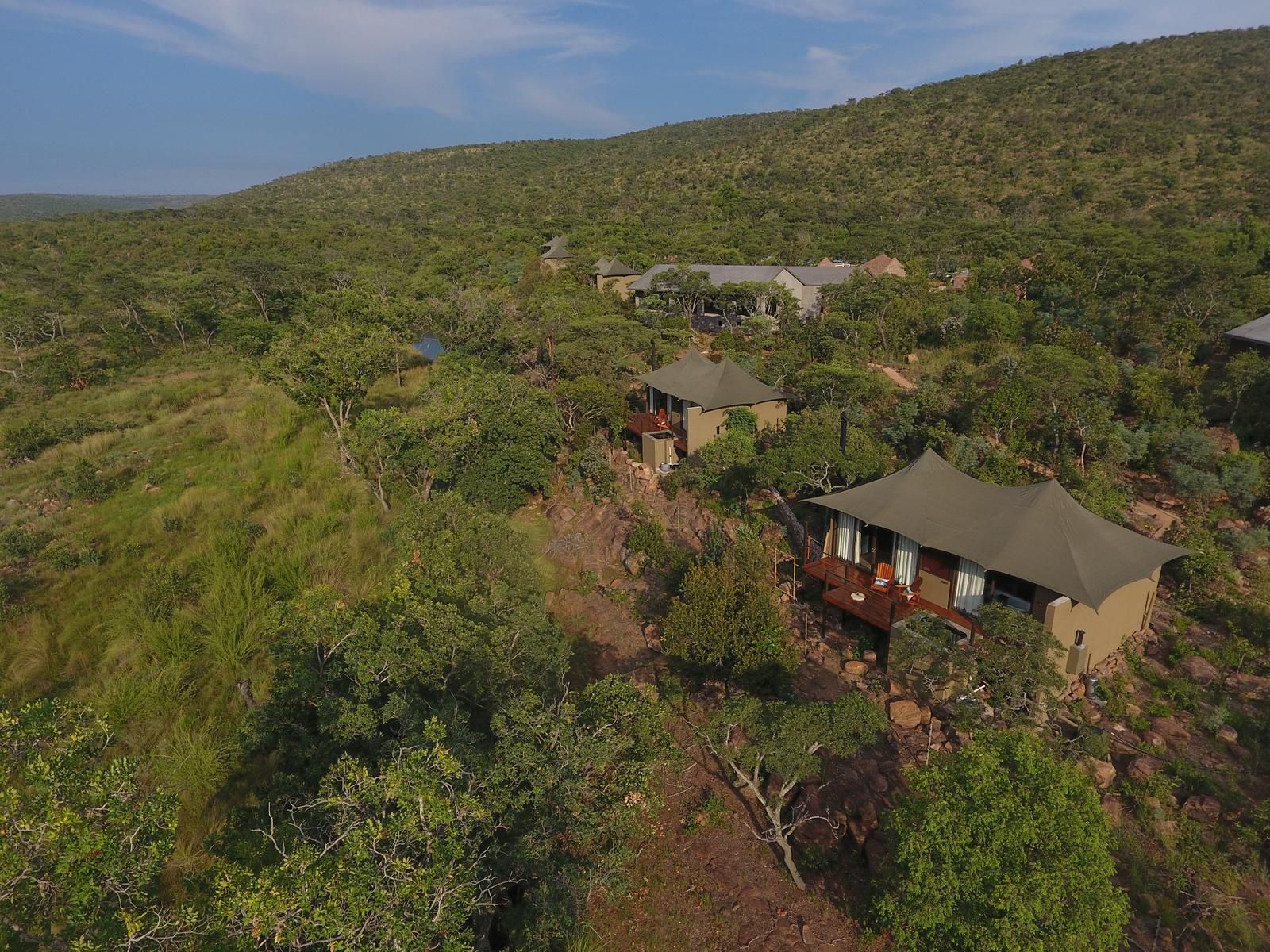 Inzalo Safari Lodge Welgevonden Game Reserve Limpopo Province South Africa 