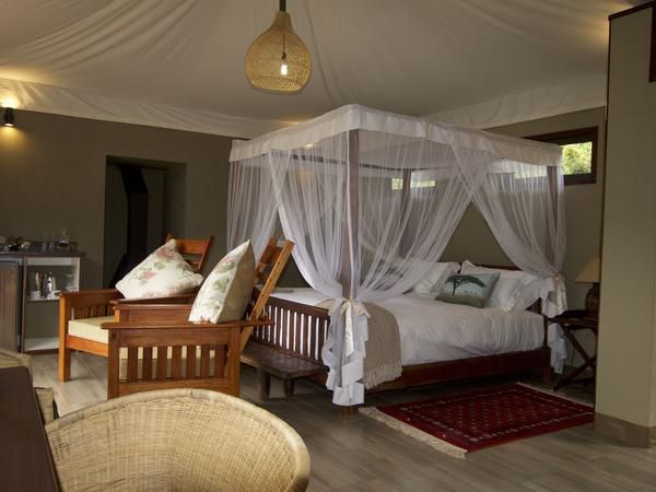 Inzalo Safari Lodge Welgevonden Game Reserve Limpopo Province South Africa Tent, Architecture, Bedroom