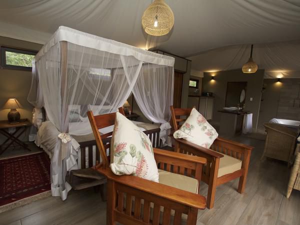 Inzalo Safari Lodge Welgevonden Game Reserve Limpopo Province South Africa Tent, Architecture, Bedroom