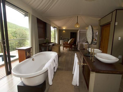 Inzalo Safari Lodge Welgevonden Game Reserve Limpopo Province South Africa 