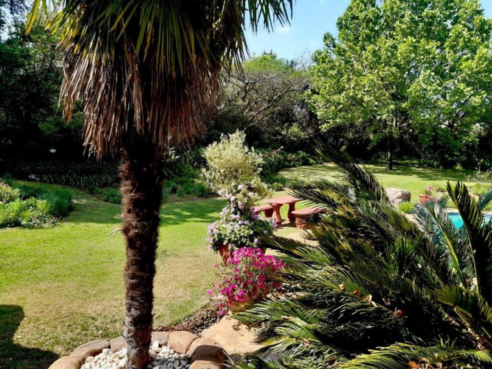 Ipe Tombe Guest Lodge Randjesfontein Johannesburg Gauteng South Africa Palm Tree, Plant, Nature, Wood, Garden