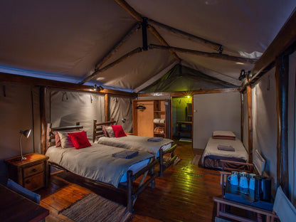 Iphofolo Lodge Vivo Limpopo Province South Africa Tent, Architecture, Bedroom