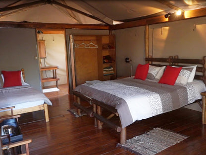 Tented Camp @ Iphofolo Lodge