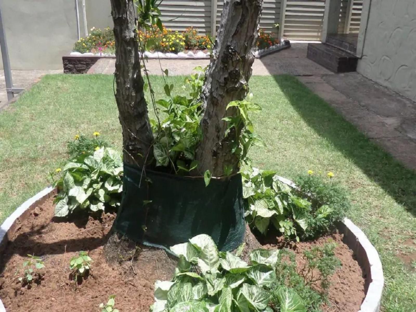 Iqhayiya Guest House Montclair Durban Kwazulu Natal South Africa Plant, Nature, Garden