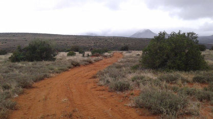 Ironstone Cottage Camdeboo National Park Eastern Cape South Africa Cactus, Plant, Nature, Volcano, Mountain, Desert, Sand, Mountain Bike, Funsport, Sport, Bicycle, Cycling, Vehicle