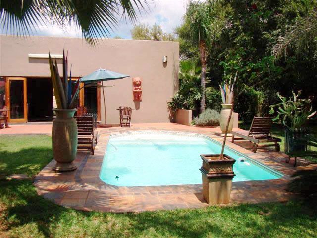 Iron Mountain Guest House Rankins Pass Limpopo Province South Africa Palm Tree, Plant, Nature, Wood, Garden, Swimming Pool