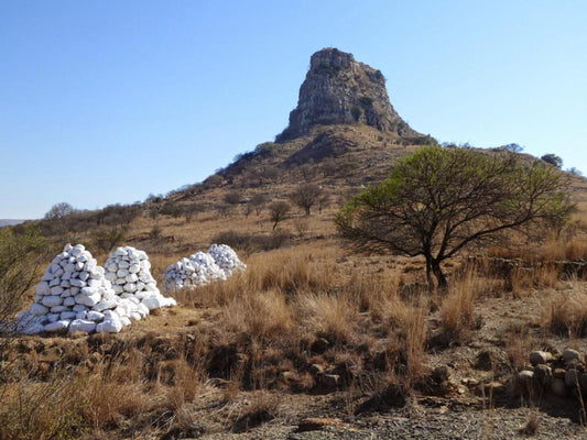 Isandlwana Lodge Dundee Kwazulu Natal South Africa Cactus, Plant, Nature