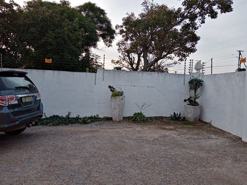 Isiqalo Grahamstown Eastern Cape South Africa Unsaturated, Palm Tree, Plant, Nature, Wood, Car, Vehicle