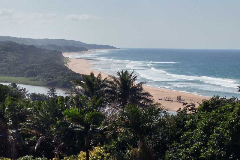 Isibankwa 8 Glen Drive Zinkwazi Beach Zinkwazi Beach Nkwazi Kwazulu Natal South Africa Beach, Nature, Sand, Palm Tree, Plant, Wood, Ocean, Waters