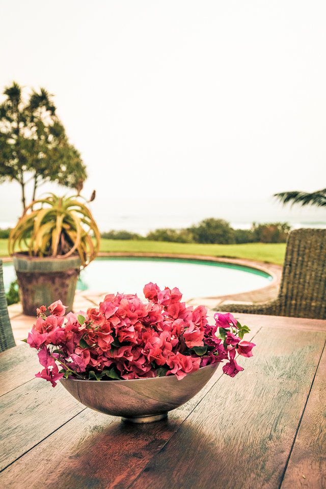 Isitolo Beach Lodge Blythedale Beach Kwazulu Natal South Africa Plant, Nature, Garden