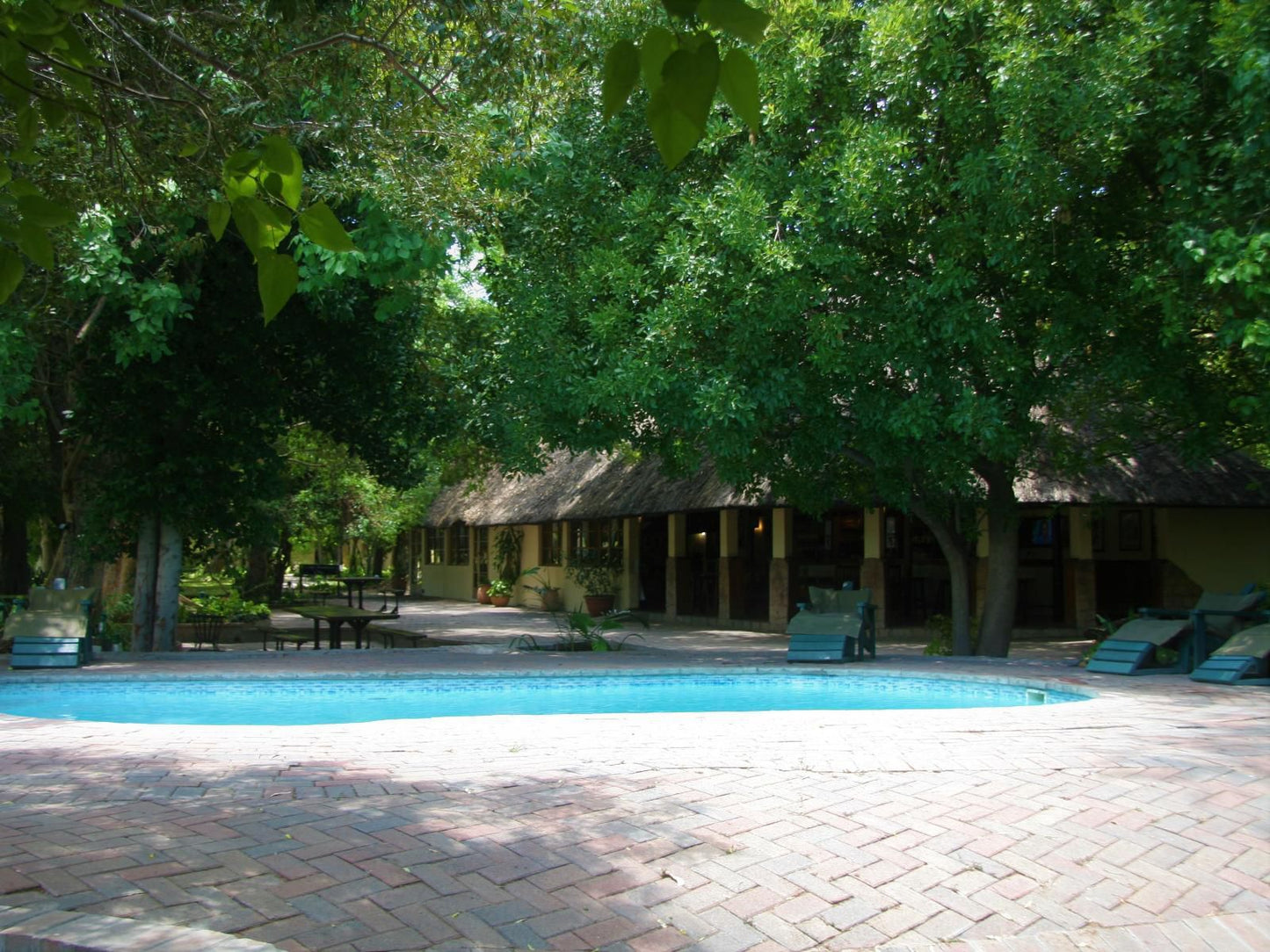 Island Safari Lodge Maun North West Botswana Tree, Plant, Nature, Wood