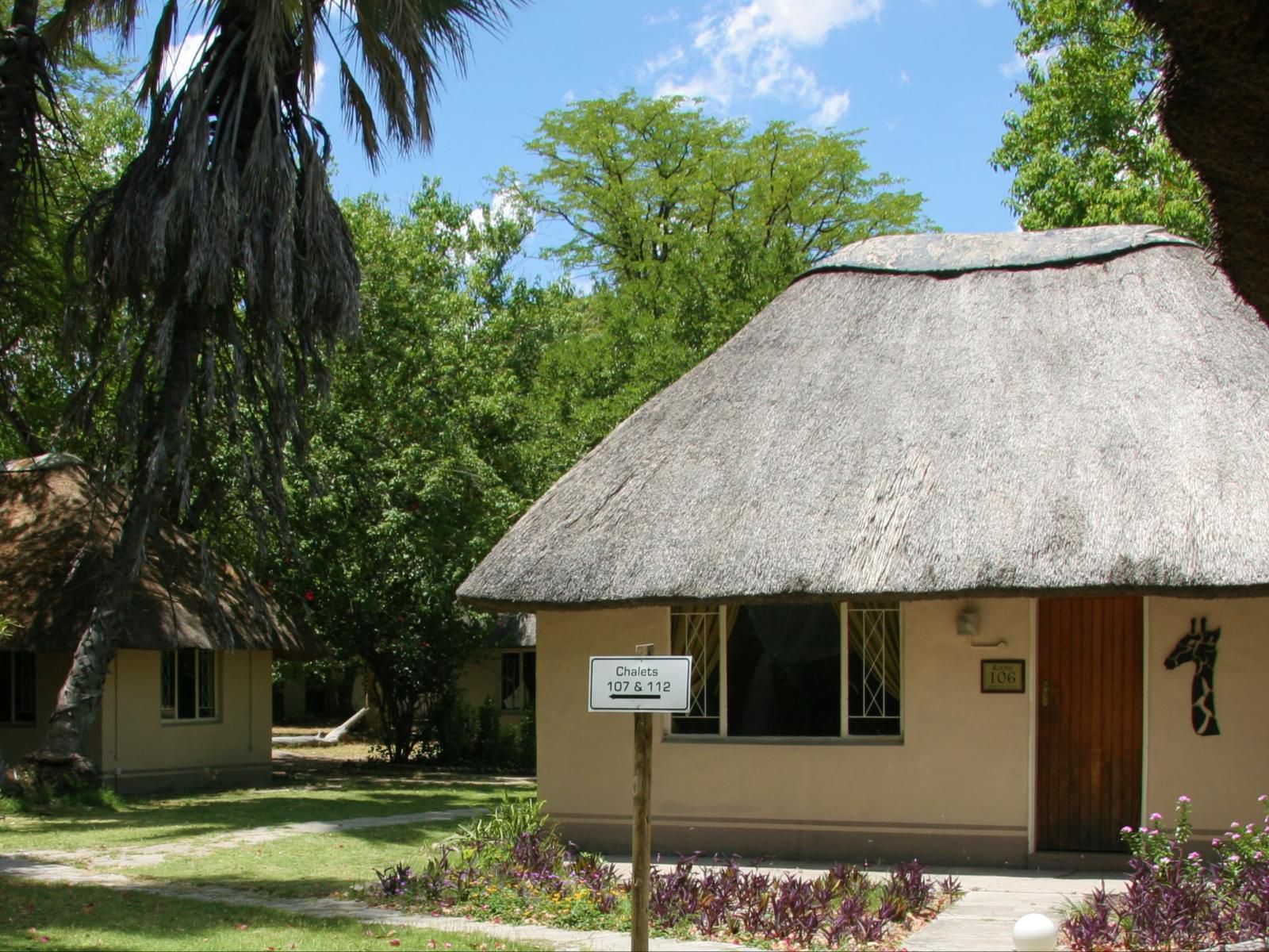 Island Safari Lodge Maun North West Botswana 