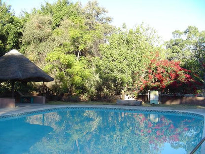 Island Safari Lodge Maun North West Botswana Complementary Colors, Palm Tree, Plant, Nature, Wood, Garden, Swimming Pool