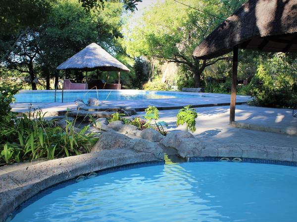 Island Safari Lodge Maun North West Botswana Garden, Nature, Plant, Swimming Pool