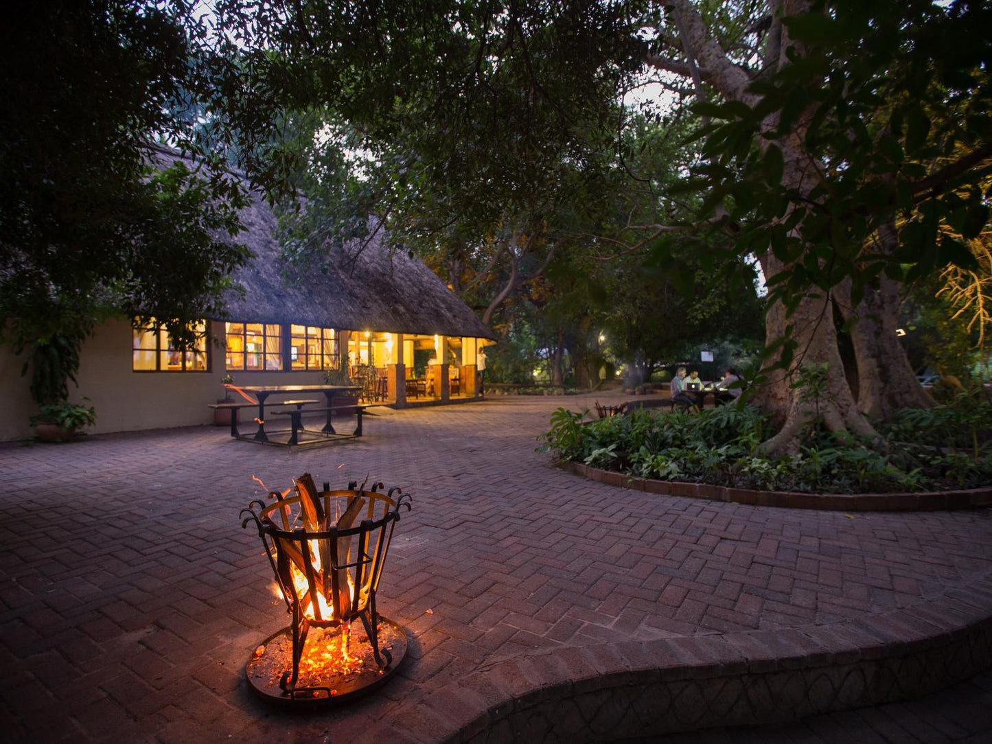 Island Safari Lodge Maun North West Botswana 