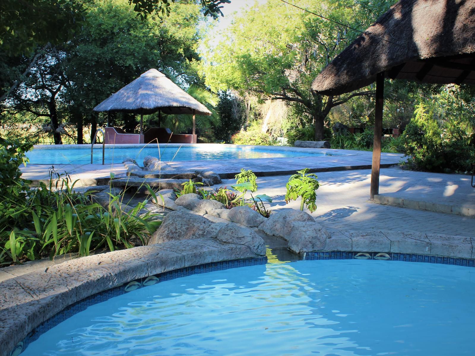 Island Safari Lodge Maun North West Botswana Garden, Nature, Plant, Swimming Pool