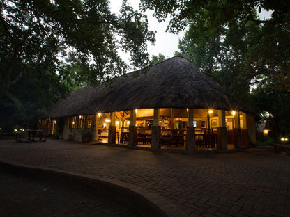 Island Safari Lodge Maun North West Botswana 