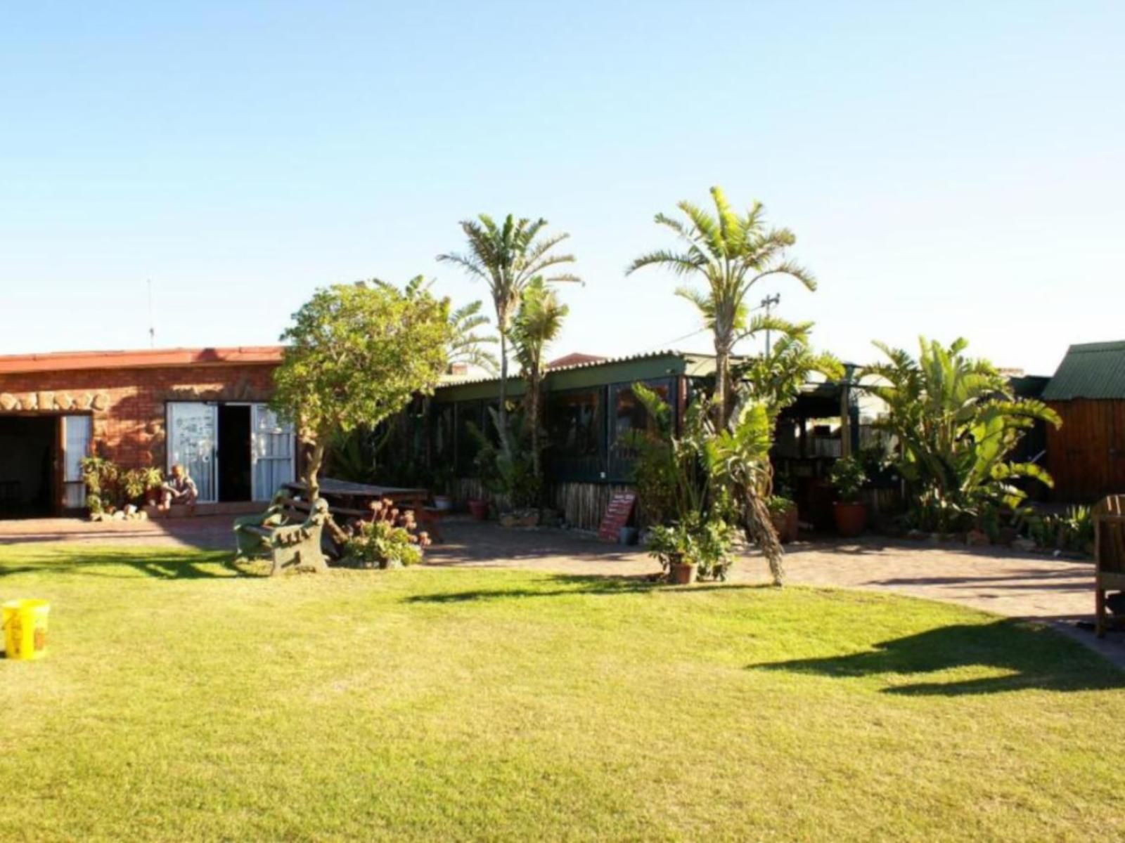 Island Vibe Pellsrus Jeffreys Bay Eastern Cape South Africa Complementary Colors, Palm Tree, Plant, Nature, Wood