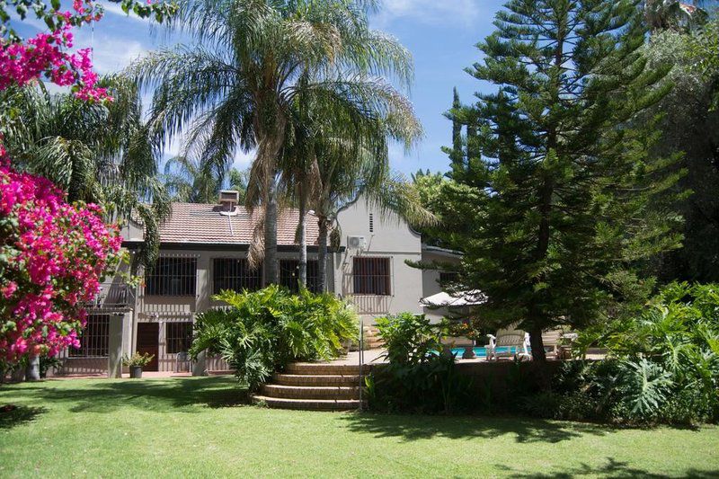 The Islandview House Upington Northern Cape South Africa House, Building, Architecture, Palm Tree, Plant, Nature, Wood