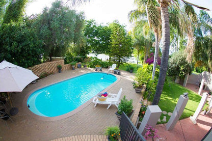 The Islandview House Upington Northern Cape South Africa Palm Tree, Plant, Nature, Wood, Garden, Swimming Pool