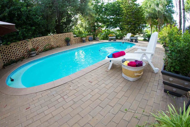 The Islandview House Upington Northern Cape South Africa Garden, Nature, Plant, Swimming Pool