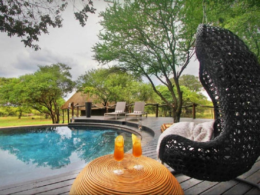 Itaga Luxury Private Game Lodge Bela Bela Warmbaths Limpopo Province South Africa Garden, Nature, Plant, Swimming Pool