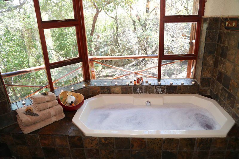 Itemoga Wildlife Reserve Vaalwater Limpopo Province South Africa Bathroom, Swimming Pool