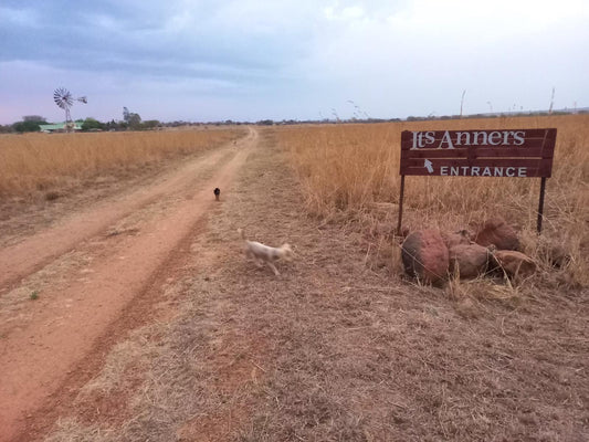 Its-Anners, Chicken, Bird, Animal, Agriculture, Farm Animal, Field, Nature, Lowland