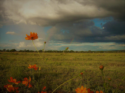 Its-Anners, Field, Nature, Agriculture, Meadow, Plant, Lowland