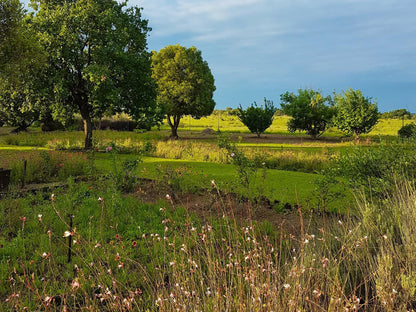 Its-Anners, Field, Nature, Agriculture, Meadow, Plant, Garden, Lowland