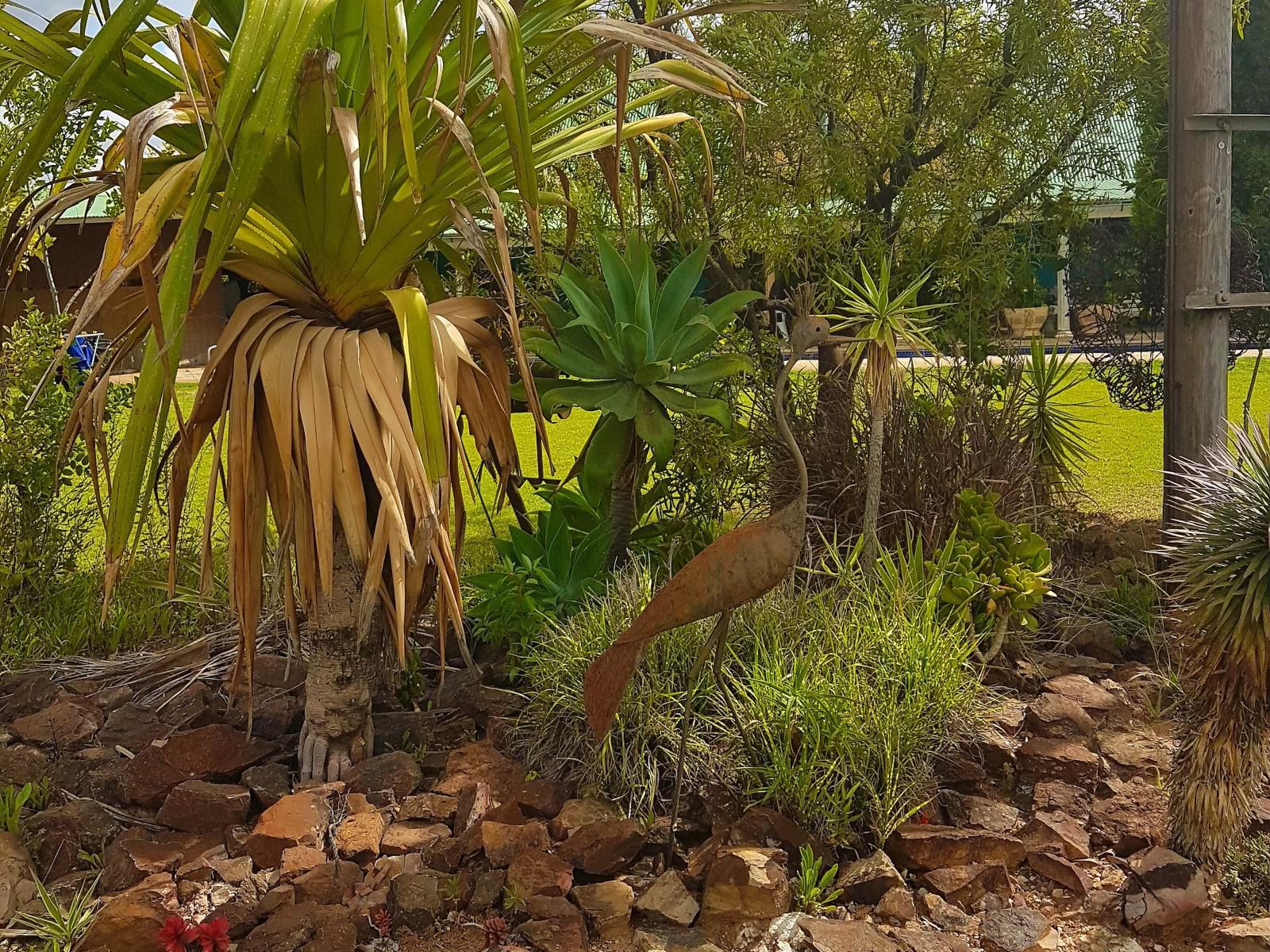 Its-Anners, Palm Tree, Plant, Nature, Wood, Garden