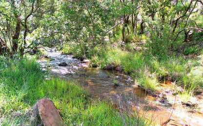 Ivemvane Bushveld Limpopo Province South Africa River, Nature, Waters