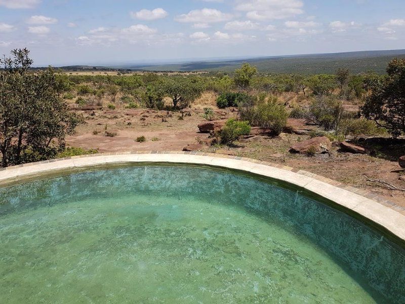 Ivemvane Bushveld Limpopo Province South Africa Complementary Colors, Swimming Pool