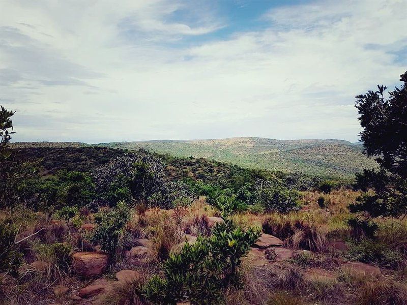 Ivemvane Bushveld Limpopo Province South Africa Nature