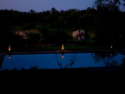 Ivory Wilderness River Rock Lodge Klaserie Private Nature Reserve Mpumalanga South Africa Dark, Swimming Pool