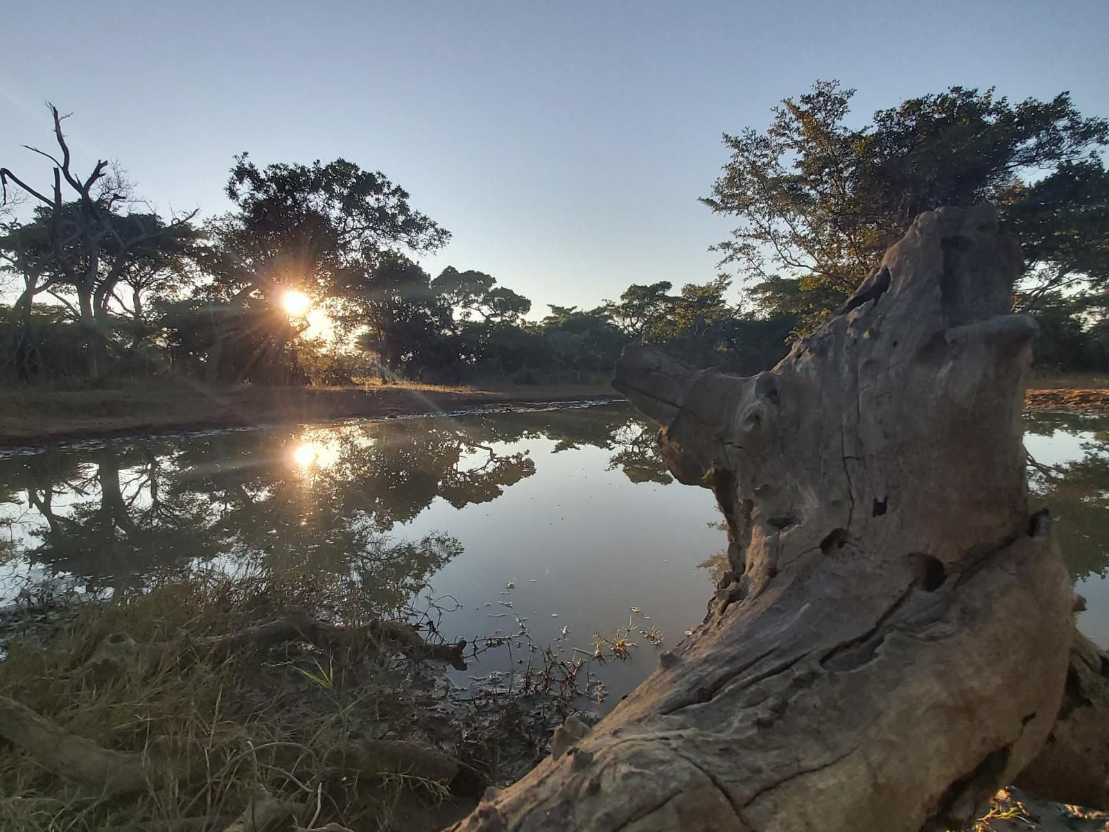 Izintaba Private Game Reserve Vaalwater Limpopo Province South Africa River, Nature, Waters, Tree, Plant, Wood, Sunset, Sky