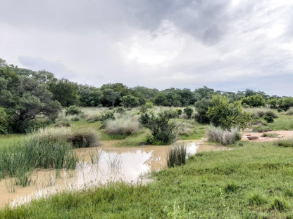 Izintaba Private Game Reserve Vaalwater Limpopo Province South Africa River, Nature, Waters