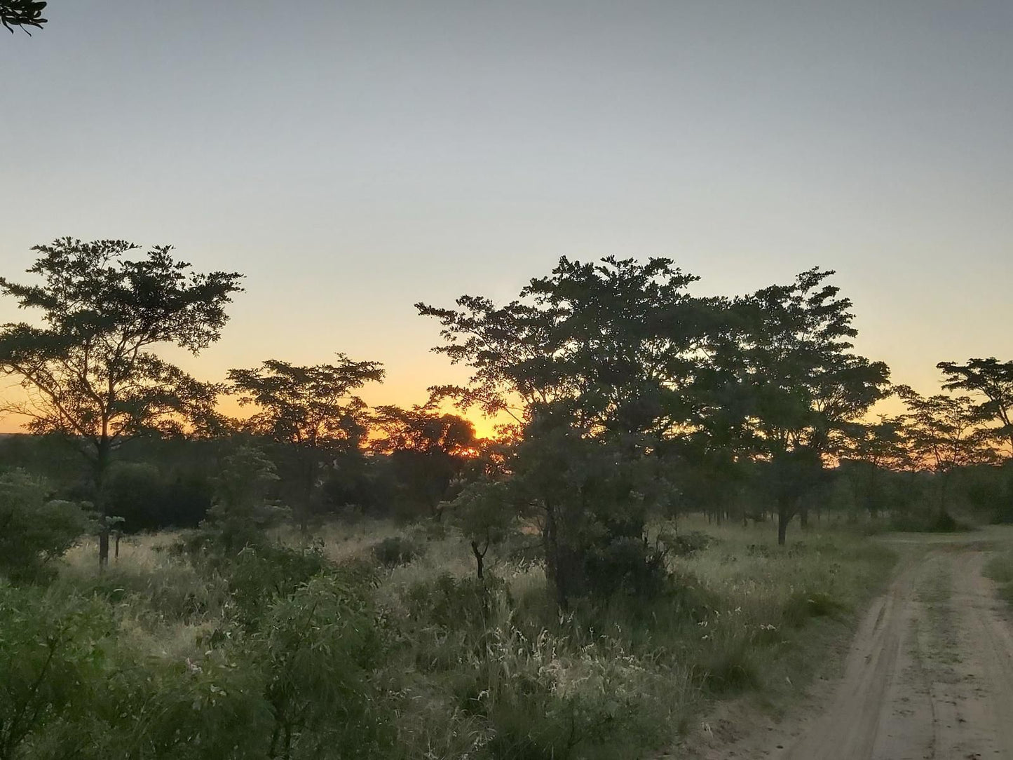 Izintaba Private Game Reserve Vaalwater Limpopo Province South Africa Lowland, Nature, Sunset, Sky