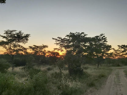 Izintaba Private Game Reserve Vaalwater Limpopo Province South Africa Lowland, Nature, Sunset, Sky