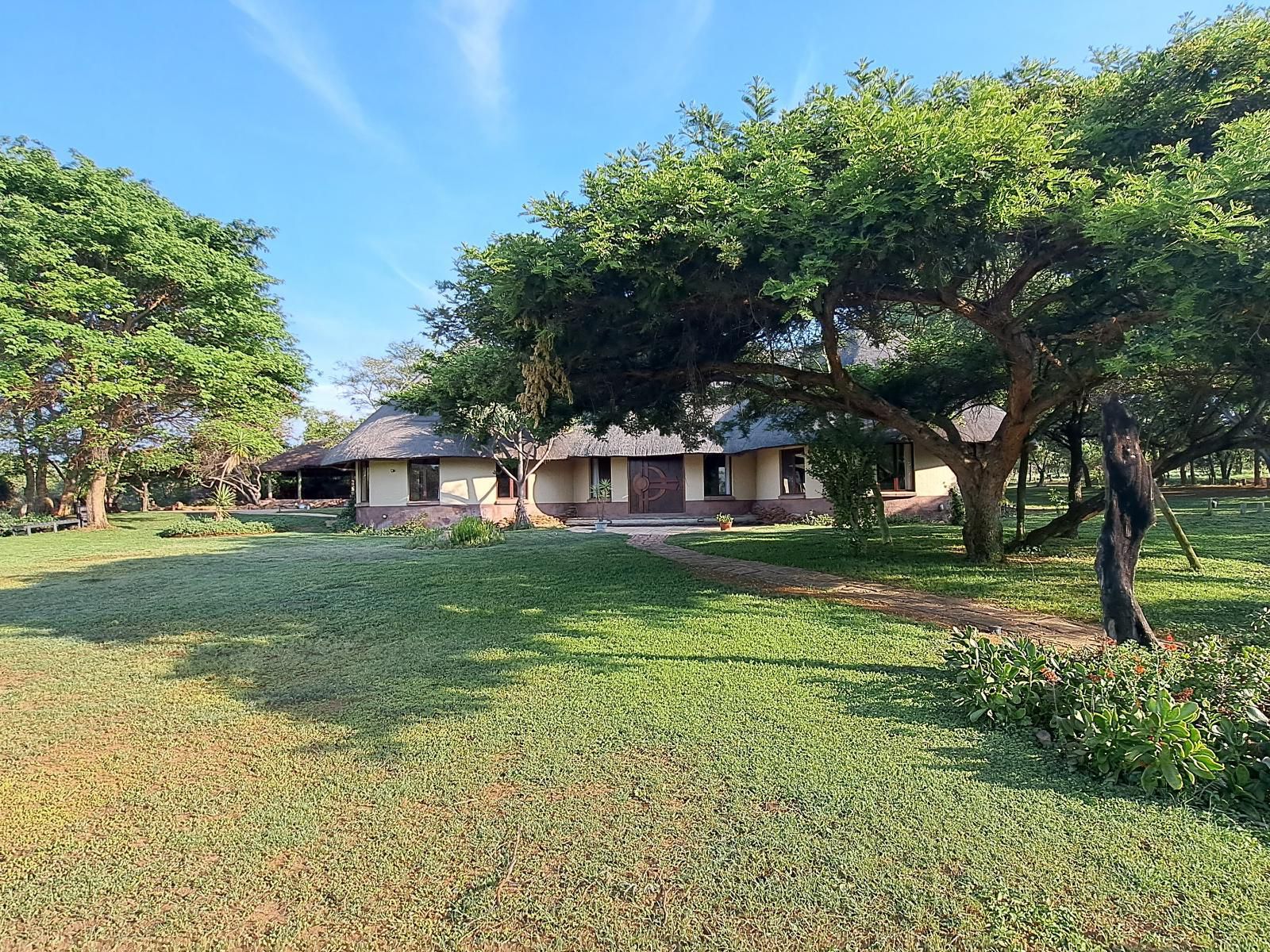 Izintaba Private Game Reserve Vaalwater Limpopo Province South Africa Complementary Colors, House, Building, Architecture, Palm Tree, Plant, Nature, Wood